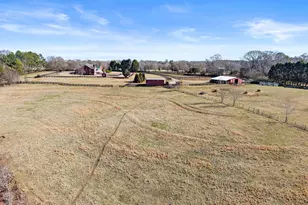 11157 Lewis Braselton Blvd, Braselton, GA 30517 - Photo 75