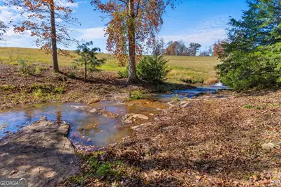 1390 Walker Road, Madison, GA 30650 - Photo 41