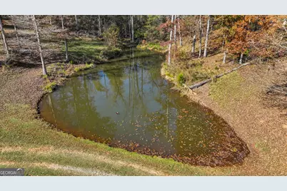 1390 Walker Road, Madison, GA 30650 - Photo 19