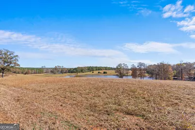 1390 Walker Road, Madison, GA 30650 - Photo 43