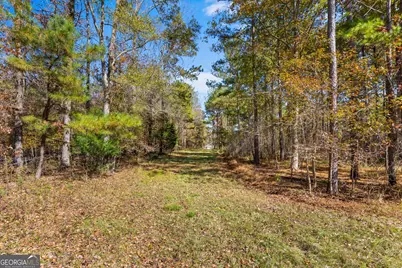1390 Walker Road, Madison, GA 30650 - Photo 37