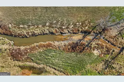 1390 Walker Road, Madison, GA 30650 - Photo 11