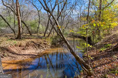 1390 Walker Road, Madison, GA 30650 - Photo 33