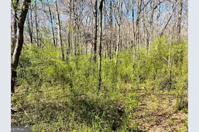 0 Crescent, Newnan, GA 30265 - Photo 5