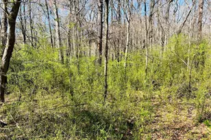 0 Crescent, Newnan, GA 30265 - Photo 5