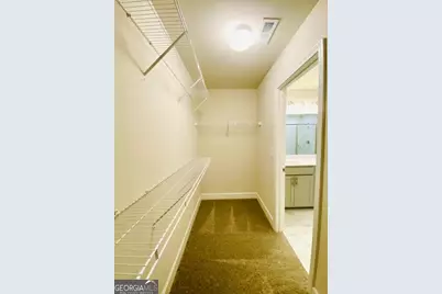 438 Southbridge Pass, Peachtree City, GA 30269 - Photo 31