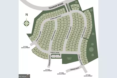 406 Teamon Pointe Drive, Griffin, GA 30223 - Photo 25