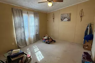 334 County Line Ext, Mansfield, GA 30055 - Photo 19