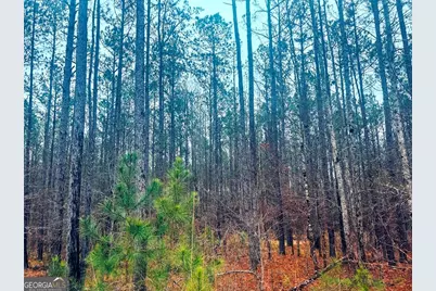 277 Pettigrew Road, Milledgeville, GA 31061 - Photo 11