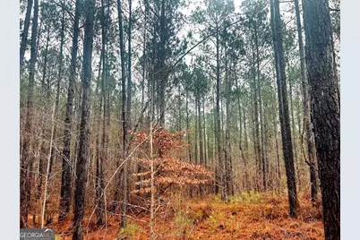 277 Pettigrew Road, Milledgeville, GA 31061 - Photo 15