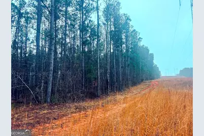 277 Pettigrew Road, Milledgeville, GA 31061 - Photo 7