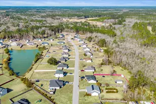 86 White Oak Road NE, Ludowici, GA 31316 - Photo 17