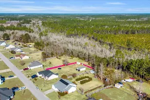 86 White Oak Road NE, Ludowici, GA 31316 - Photo 19