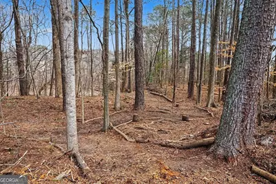 3855 Laurel Falls Drive, Snellville, GA 30039 - Photo 33