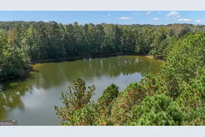 21 Long Branch Trail, Sharpsburg, GA 30277 - Photo 59