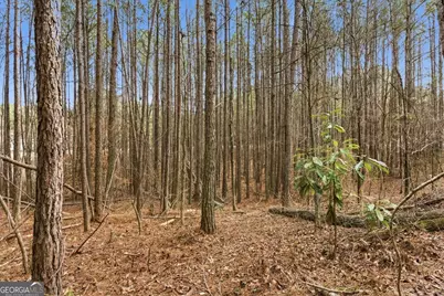 0 Williamson Road, Tallapoosa, GA 30176 - Photo 15