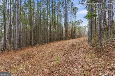 0 Williamson Road, Tallapoosa, GA 30176 - Photo 13