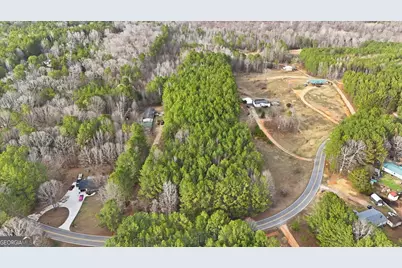0 Williamson Road, Tallapoosa, GA 30176 - Photo 9