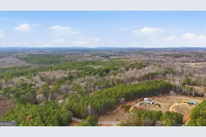 0 Williamson Road, Tallapoosa, GA 30176 - Photo 5