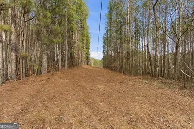 0 Williamson Road, Tallapoosa, GA 30176 - Photo 11