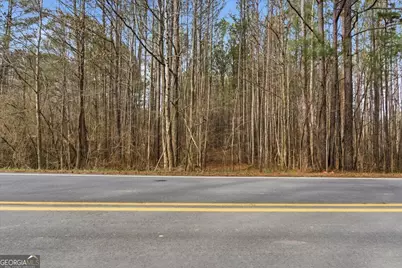 0 Williamson Road, Tallapoosa, GA 30176 - Photo 17