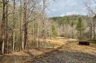 1365 Sky Lake Rd, Sautee Nacoochee, GA 30571 - Photo 33