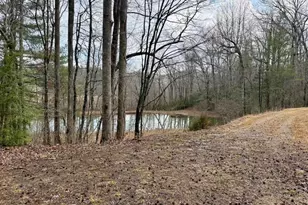 1365 Sky Lake Rd, Sautee Nacoochee, GA 30571 - Photo 47