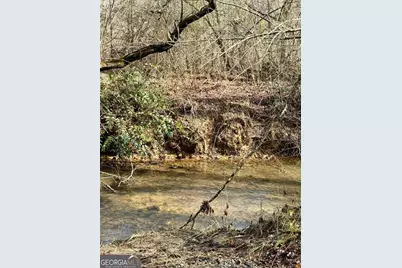 1365 Skylake Road, Sautee Nacoochee, GA 30571 - Photo 37