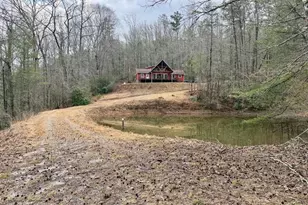 1365 Sky Lake Rd, Sautee Nacoochee, GA 30571 - Photo 39