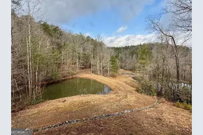 1365 Skylake Road, Sautee Nacoochee, GA 30571 - Photo 43