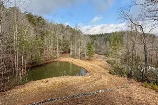 1365 Sky Lake Rd, Sautee Nacoochee, GA 30571 - Photo 43