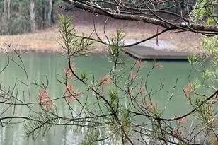 1365 Sky Lake Rd, Sautee Nacoochee, GA 30571 - Photo 37