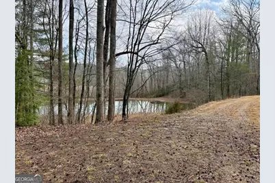 1365 Skylake Road, Sautee Nacoochee, GA 30571 - Photo 35