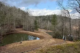 1365 Sky Lake Rd, Sautee Nacoochee, GA 30571 - Photo 33