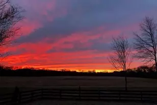 70 Seattle Slew Way, Cartersville, GA 30120 - Photo 57