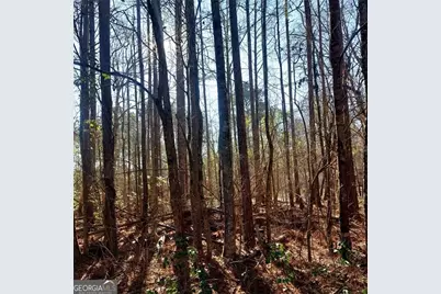 450 W Lake Drive, Oxford, GA 30054 - Photo 5