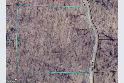 0 Deer Run, Morganton, GA 30560 - Photo 3