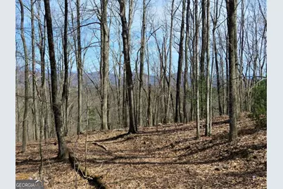 0 Deer Run, Morganton, GA 30560 - Photo 5
