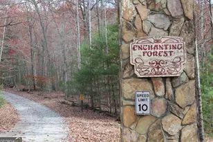 0 Deer Run, Morganton, GA 30560 - Photo 1