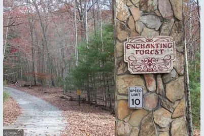 0 Deer Run, Morganton, GA 30560 - Photo 3
