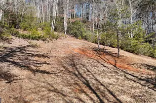 120 Ridgeland, Sautee Nacoochee, GA 30571 - Photo 65