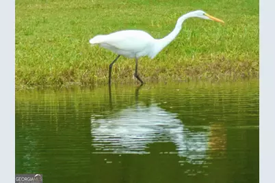 443 Beacon Court, Griffin, GA 30223 - Photo 47