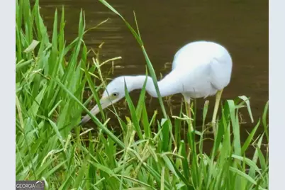 443 Beacon Court, Griffin, GA 30223 - Photo 45