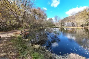 102 Maple Ln, Blairsville, GA 30512 - Photo 45