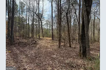 4.5 Acres Whatley Road N, Lagrange, GA 30240 - Photo 3
