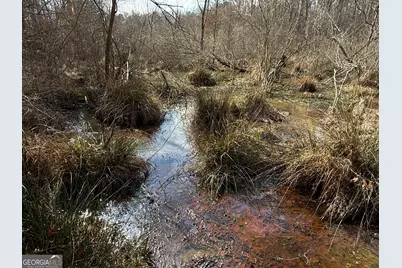 4.5 Acres Whatley Road N, Lagrange, GA 30240 - Photo 11