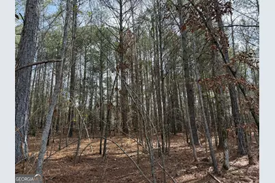 4.5 Acres Whatley Road N, Lagrange, GA 30240 - Photo 5