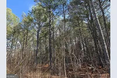 4.5 Acres Whatley Road N, Lagrange, GA 30240 - Photo 19