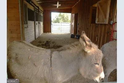 551 P. S. Road, Toccoa, GA 30577 - Photo 81