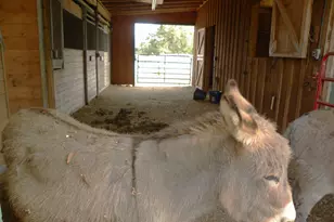 551 P S Rd, Toccoa, GA 30577 - Photo 81